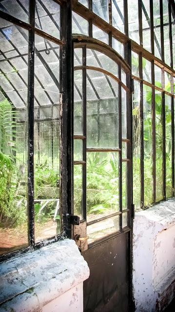 MI BLOG ES CO2 NEUTRAL :-) MI BLOG ES CO2 NEUTRAL :-)