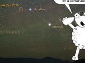 Henrietta feliz Nova Centauri 2013