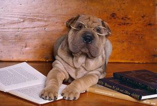 Buscamos propuestas de lectura para Enero