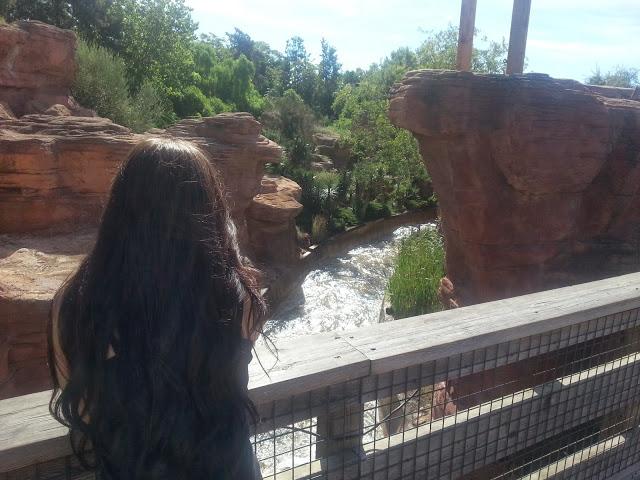 ¡Adiós, cabello largo!