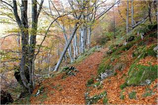 Semeyas de Asturias (y II)