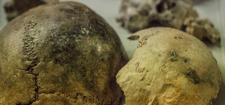 El cráneo de la cueva sepulcral de Txispiri