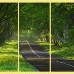 El camino del contenido en social media… ¡Y cómo dominar todas las etapas!