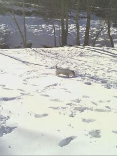 Haciendo galletas en el Pirineo catalán