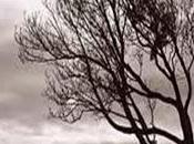 Twitter: ¡Vive deja vivir!