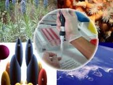 ¿Qué biotecnología?