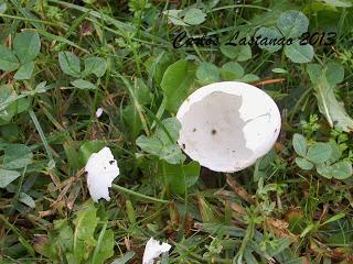 El tiempo esta loco... y nosotros también