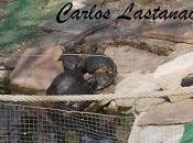 tiempo esta loco... nosotros también