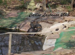 El tiempo esta loco... y nosotros también