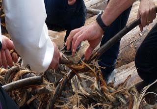 Agujeros en las vigas de las casas.