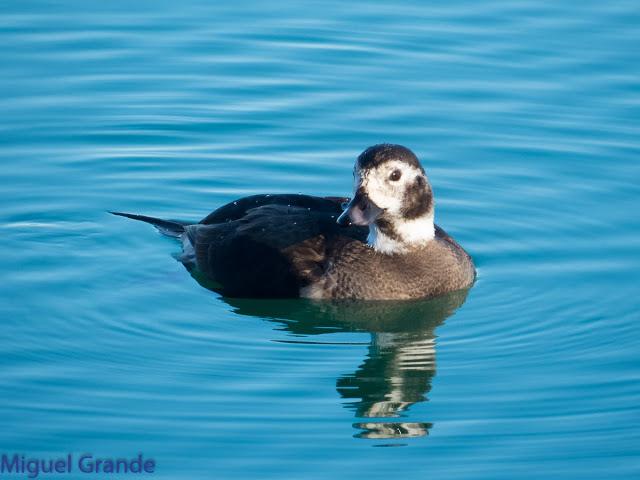 DE LA COSTA HACIA EL PIRINEO NAVARRO,ME PASE POR ZARAGOZA.
