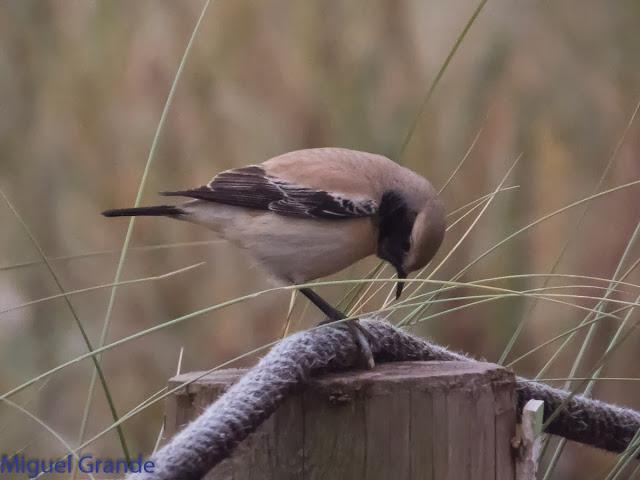 DE LA COSTA HACIA EL PIRINEO NAVARRO,ME PASE POR ZARAGOZA.