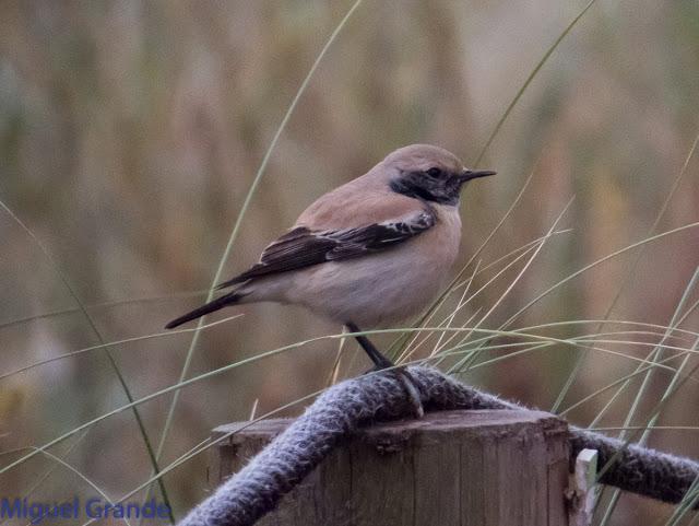 DE LA COSTA HACIA EL PIRINEO NAVARRO,ME PASE POR ZARAGOZA.