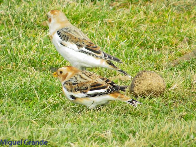 DE LA COSTA HACIA EL PIRINEO NAVARRO,ME PASE POR ZARAGOZA.