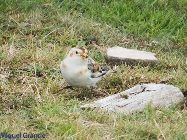 DE LA COSTA HACIA EL PIRINEO NAVARRO,ME PASE POR ZARAGOZA.