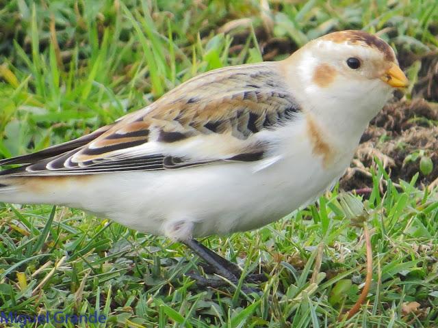 DE LA COSTA HACIA EL PIRINEO NAVARRO,ME PASE POR ZARAGOZA.