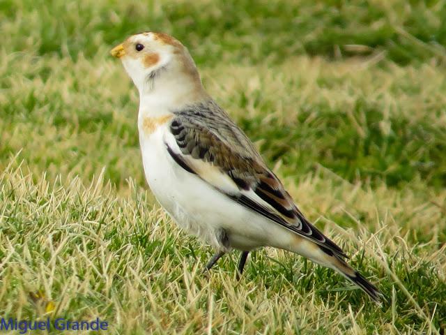 DE LA COSTA HACIA EL PIRINEO NAVARRO,ME PASE POR ZARAGOZA.