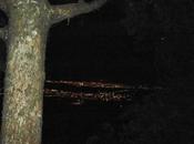 SUERTE… PA´LANTE! (tercera entrega)