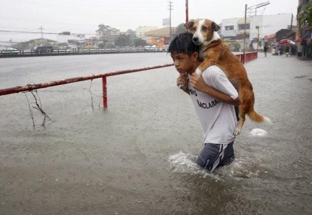 Las fotografías más impactantes de 2013