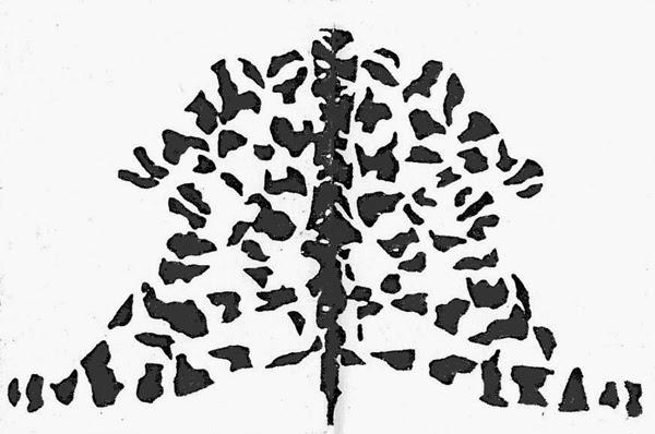 Asociación Fiesteros Anónimos