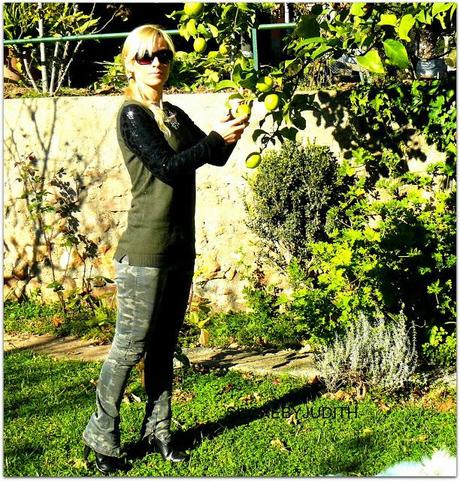 CAMOUFLAGE AND PALLlETTE CAMOUFLAGE AND PALLlETTE