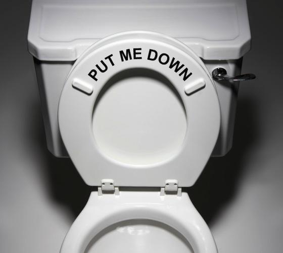 http://cdn.thegadgetflow.com/wp-content/uploads/2013/07/Put-Me-Down-Decal-Bathroom-Toilet-Seat.jpg