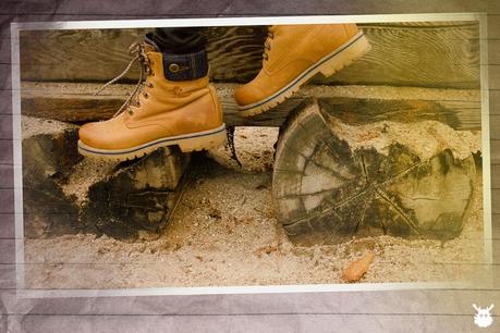 Autumn_winter_amintapachi-7