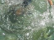 Nervios: segunda parte