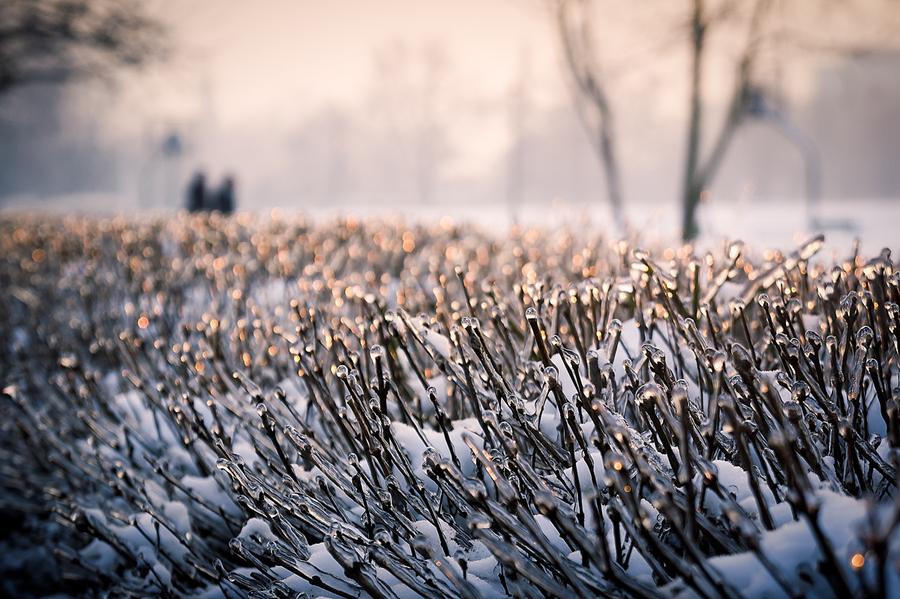 Ice matches by Konrad Koch on 500px.com