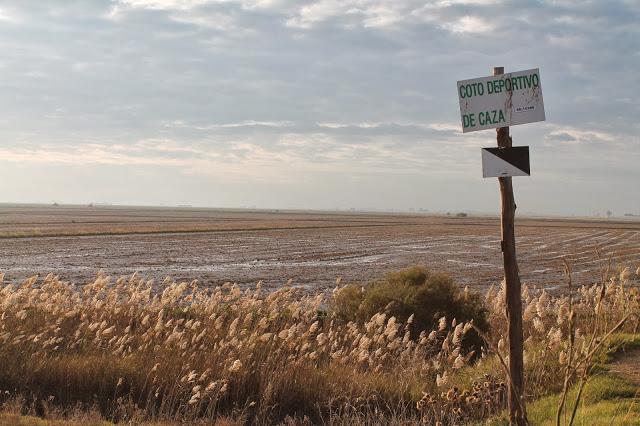 Dehesa de Abajo en las Puertas de Doñana