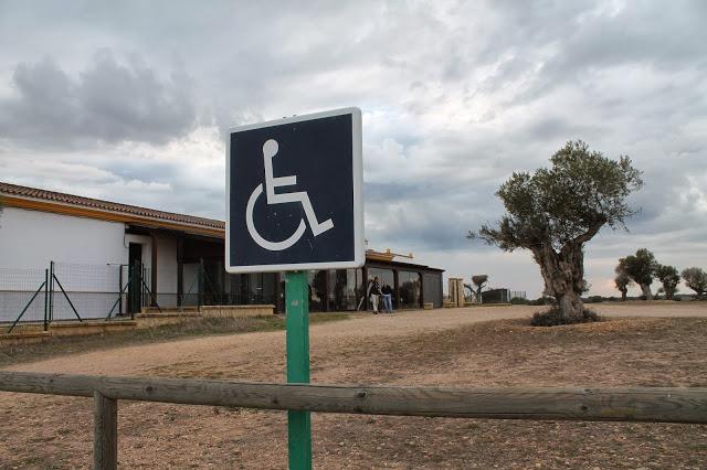 Dehesa de Abajo en las Puertas de Doñana