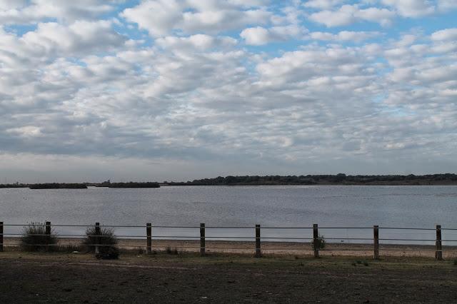 Dehesa de Abajo en las Puertas de Doñana