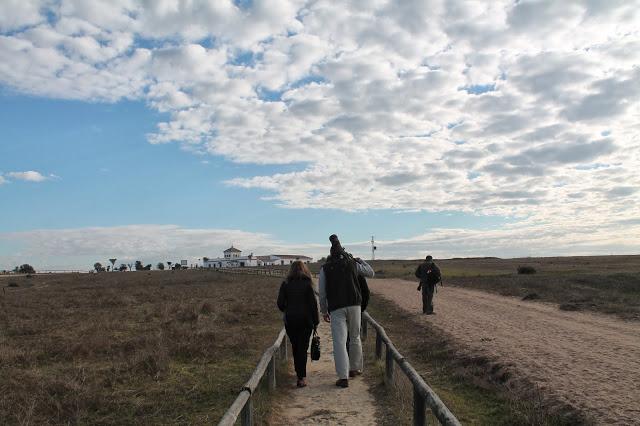 Dehesa de Abajo en las Puertas de Doñana