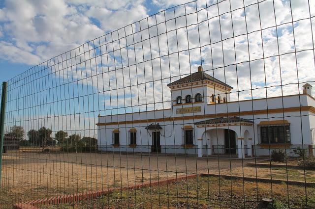 Dehesa de Abajo en las Puertas de Doñana