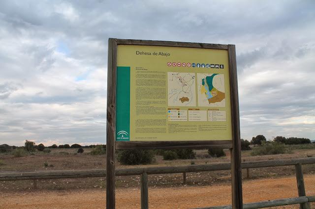 Dehesa de Abajo en las Puertas de Doñana
