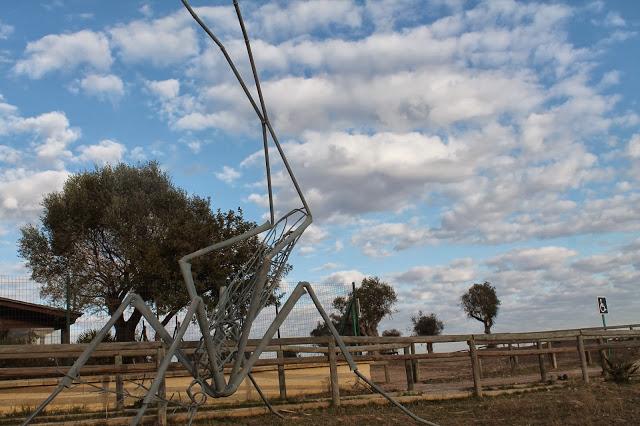 Dehesa de Abajo en las Puertas de Doñana