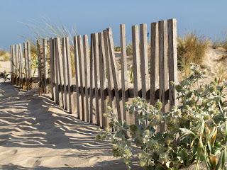 Un hotel en la playa de Zahara de los Atunes