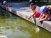 Jugando lago peces