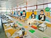 Sancal: celebrar años creatividad mucho color!