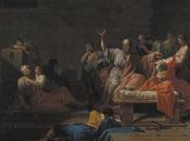 planta mató Sócrates