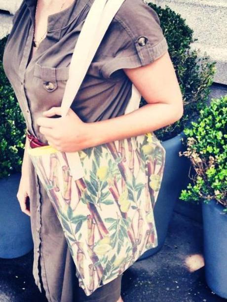 1457657_508036729294836_2041412485_n