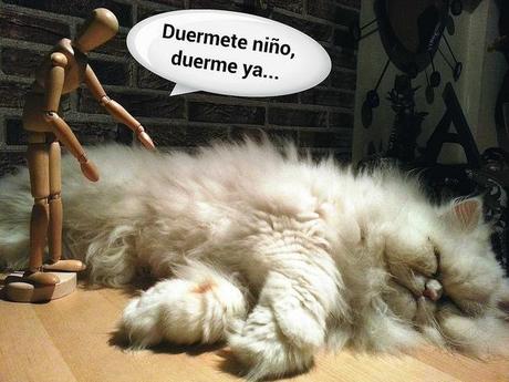 El Patxi. Haciendo amigos II El Patxi. Haciendo Amigos IV