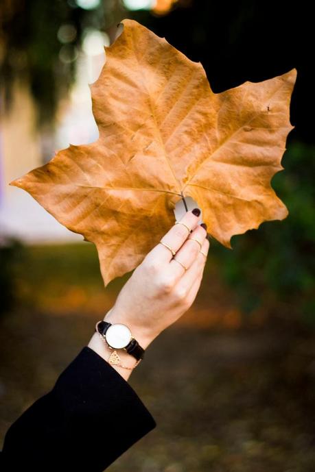 The Perfect Classic bag Ever