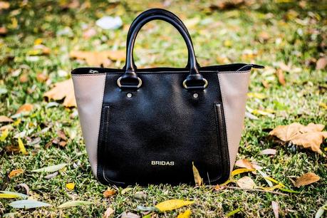 The Perfect Classic bag Ever