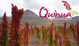 INIA 321- Kawsay  y Quinua: innovación agronómica y financiera en Perú y Bolivia ( 2 min.)