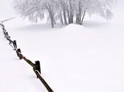 Foto día: Increíble paisaje nevado