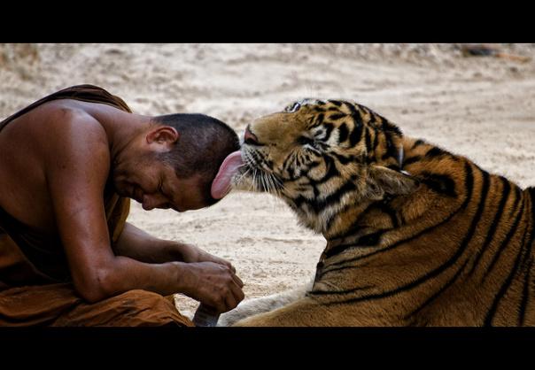 cuatro apuntes sobre confianza