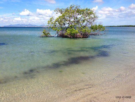 La Playa El Oasis es así, como su nombre