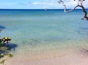 oasis Isla Margarita