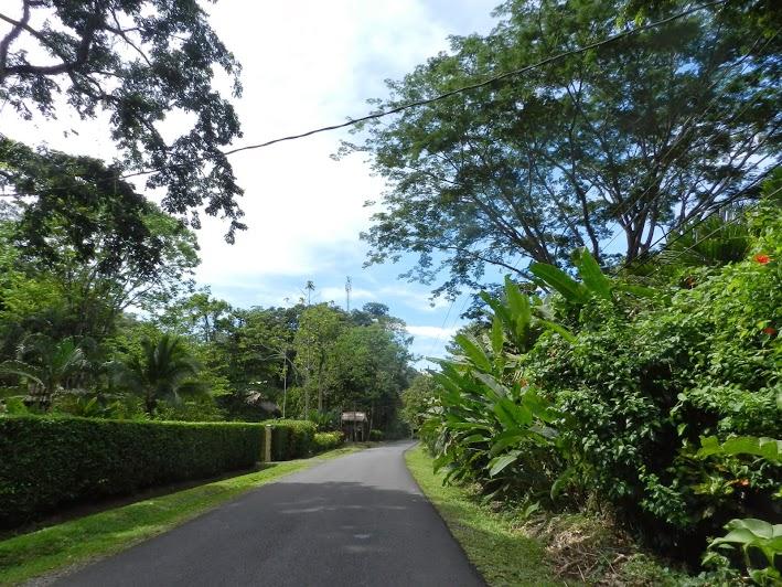 Viaje en el Caribe Sur de Costa Rica (25-31/10/2013)